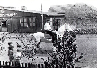 04_Birkenzweige zu Pfingstenvor den Husern338