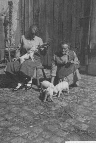 03_Aufziehen von Ferkeln mit der Flasche 03_Aufziehen von Ferkeln mit der Flasche