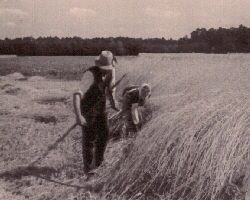 05_Mähen u 05_Mähen u