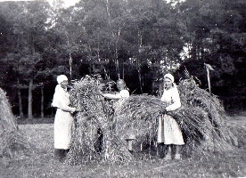 08_1934 Binden der garben 08_1934 Binden der garben
