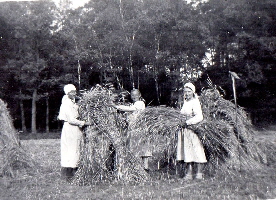 08_1934 Binden der garben