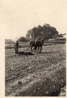 10_1928 Minna Land geb.Lehmann beim Walzen 10_1928 Minna Land geb.Lehmann beim Walzen