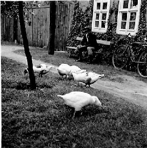 11_0100_1951 11_0100_1951