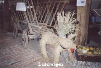 hundeschlitten1